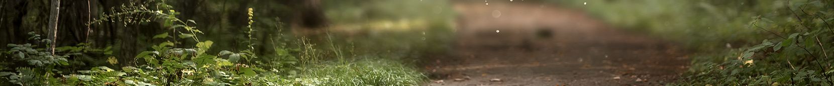 baner wez mnie na spacer